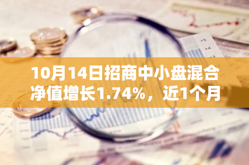 10月14日招商中小盘混合净值增长1.74%，近1个月累计上涨16.54%