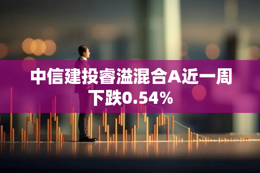 中信建投睿溢混合A近一周下跌0.54%