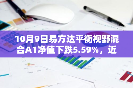 10月9日易方达平衡视野混合A1净值下跌5.59%，近3个月累计上涨6.75%