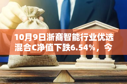 10月9日浙商智能行业优选混合C净值下跌6.54%，今年来累计上涨3.25%