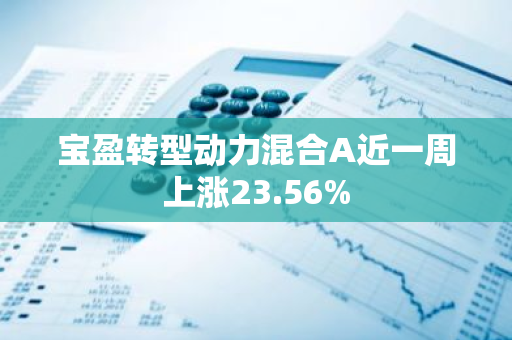 宝盈转型动力混合A近一周上涨23.56%