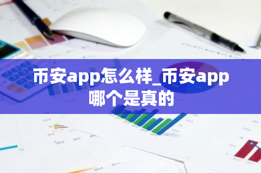 币安app怎么样_币安app哪个是真的