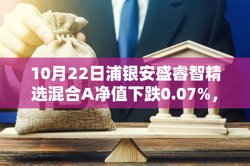 10月22日浦银安盛睿智精选混合A净值下跌0.07%，近3个月累计上涨4.91%