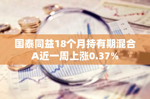 国泰同益18个月持有期混合A近一周上涨0.37%