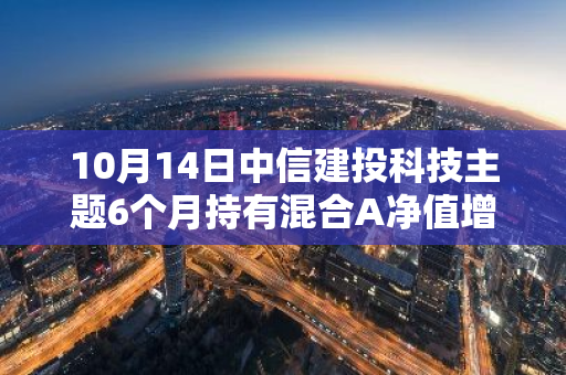 10月14日中信建投科技主题6个月持有混合A净值增长2.64%，近1个月累计上涨24.07%