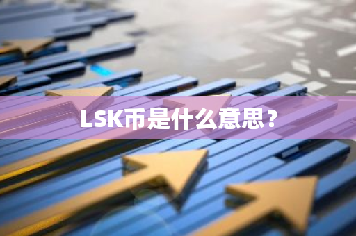 LSK币是什么意思？