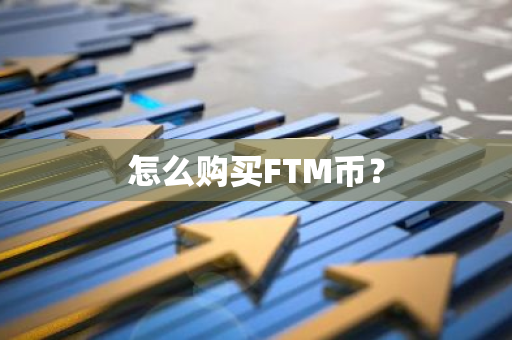 怎么购买FTM币？