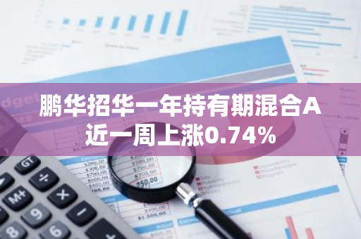 鹏华招华一年持有期混合A近一周上涨0.74%