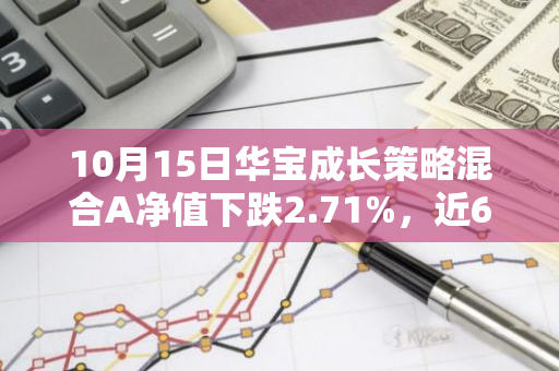 10月15日华宝成长策略混合A净值下跌2.71%，近6个月累计上涨12.84%