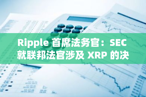 Ripple 首席法务官：SEC 就联邦法官涉及 XRP 的决定的上诉反而将使加密行业受益