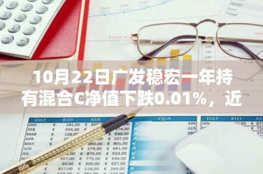 10月22日广发稳宏一年持有混合C净值下跌0.01%，近3个月累计上涨5.17%