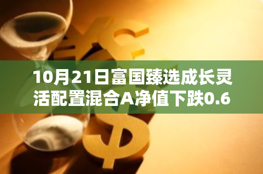 10月21日富国臻选成长灵活配置混合A净值下跌0.62%，近6个月累计下跌4.39%