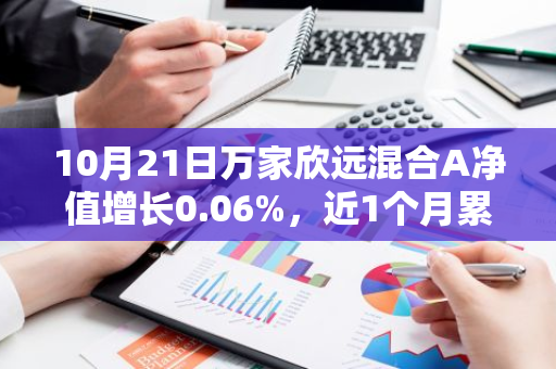 10月21日万家欣远混合A净值增长0.06%，近1个月累计上涨10.56%