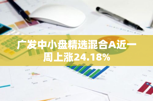 广发中小盘精选混合A近一周上涨24.18%