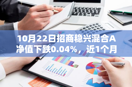 10月22日招商稳兴混合A净值下跌0.04%，近1个月累计上涨1.95%