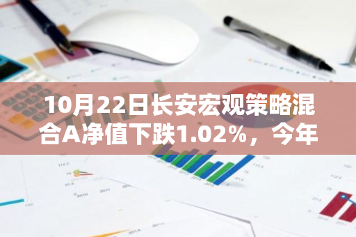 10月22日长安宏观策略混合A净值下跌1.02%，今年来累计上涨7.19%