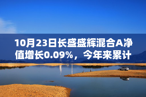 10月23日长盛盛辉混合A净值增长0.09%，今年来累计上涨8.02%