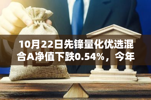 10月22日先锋量化优选混合A净值下跌0.54%，今年来累计上涨3.84%