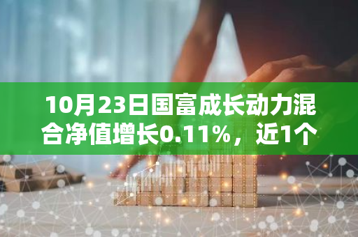 10月23日国富成长动力混合净值增长0.11%，近1个月累计上涨25.26%