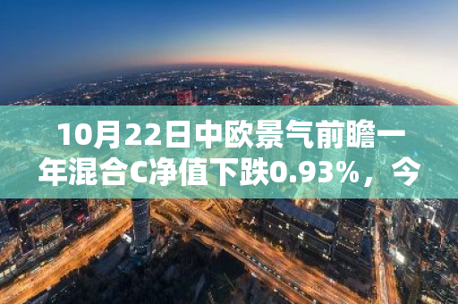 10月22日中欧景气前瞻一年混合C净值下跌0.93%，今年来累计上涨5.33%