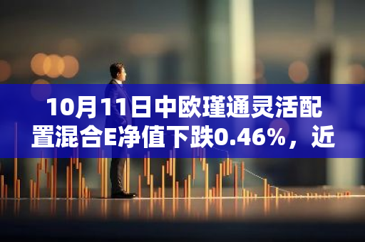 10月11日中欧瑾通灵活配置混合E净值下跌0.46%，近3个月累计上涨0.77%