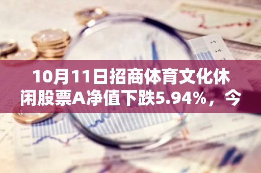 10月11日招商体育文化休闲股票A净值下跌5.94%，今年来累计下跌9.03%