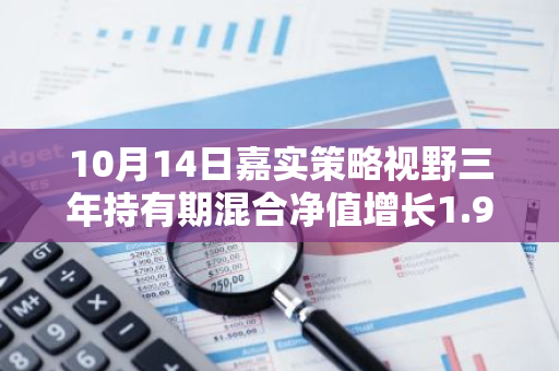 10月14日嘉实策略视野三年持有期混合净值增长1.92%，近1个月累计上涨21.25%