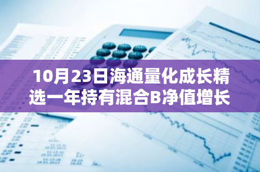 10月23日海通量化成长精选一年持有混合B净值增长0.51%，近1个月累计上涨23.21%