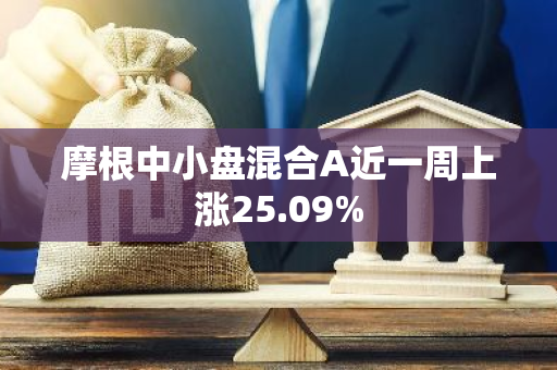 摩根中小盘混合A近一周上涨25.09%