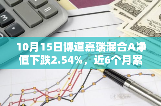 10月15日博道嘉瑞混合A净值下跌2.54%，近6个月累计上涨2.01%