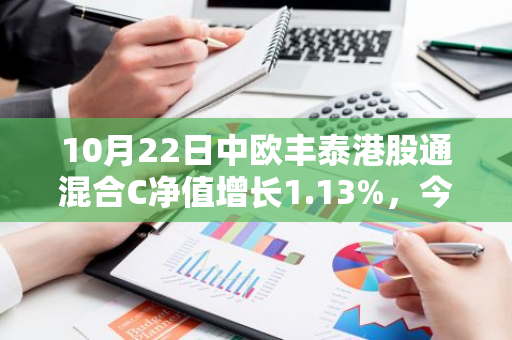 10月22日中欧丰泰港股通混合C净值增长1.13%，今年来累计上涨14.69%