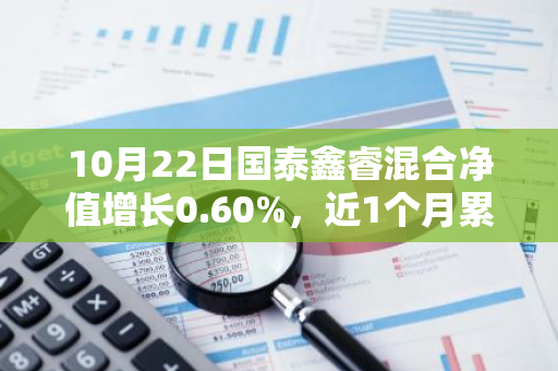 10月22日国泰鑫睿混合净值增长0.60%，近1个月累计上涨17.3%