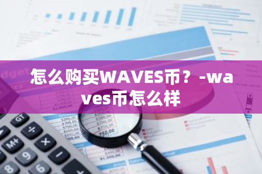 怎么购买WAVES币？-waves币怎么样