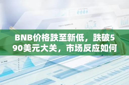 BNB价格跌至新低，跌破590美元大关，市场反应如何？