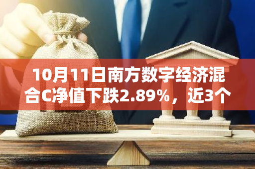 10月11日南方数字经济混合C净值下跌2.89%，近3个月累计上涨1.96%