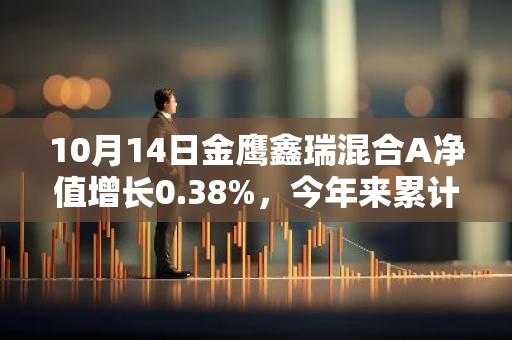 10月14日金鹰鑫瑞混合A净值增长0.38%，今年来累计上涨3.56%