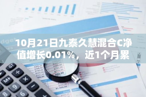 10月21日九泰久慧混合C净值增长0.01%，近1个月累计上涨8.38%