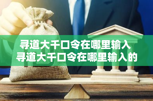 寻道大千口令在哪里输入 寻道大千口令在哪里输入的