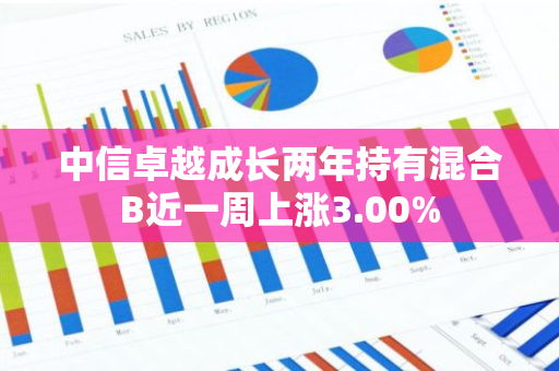 中信卓越成长两年持有混合B近一周上涨3.00%