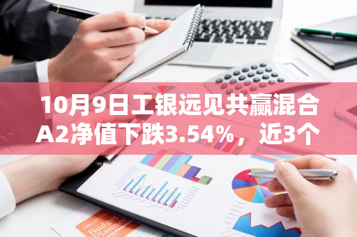 10月9日工银远见共赢混合A2净值下跌3.54%，近3个月累计上涨1.22%