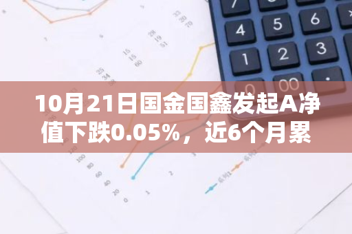 10月21日国金国鑫发起A净值下跌0.05%，近6个月累计上涨11.23%