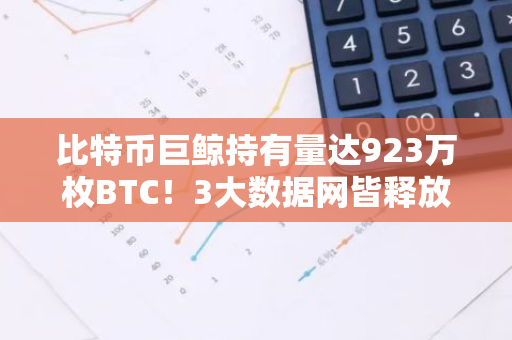 比特币巨鲸持有量达923万枚BTC！3大数据网皆释放长期利多