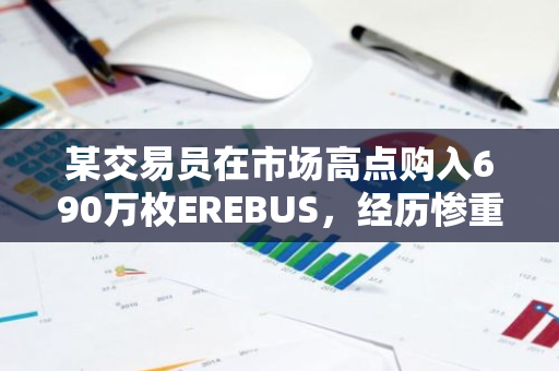 某交易员在市场高点购入690万枚EREBUS，经历惨重亏损后以仅剩8%的价值出售所持股份