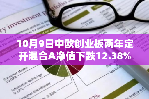 10月9日中欧创业板两年定开混合A净值下跌12.38%，今年来累计下跌0.14%