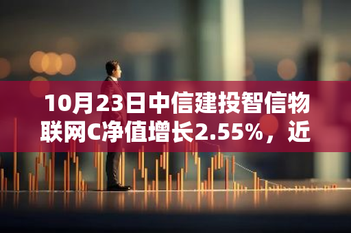 10月23日中信建投智信物联网C净值增长2.55%，近1个月累计上涨35.99%