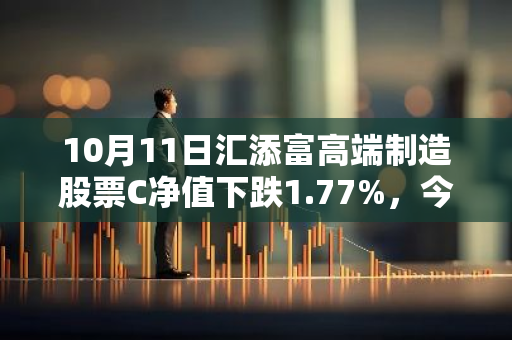 10月11日汇添富高端制造股票C净值下跌1.77%，今年来累计上涨15.03%