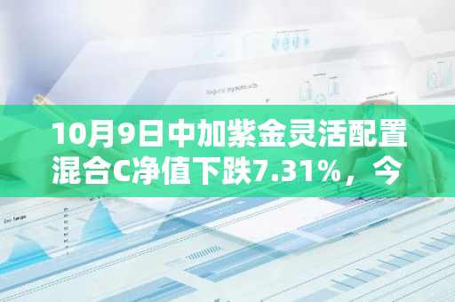 10月9日中加紫金灵活配置混合C净值下跌7.31%，今年来累计下跌2.01%