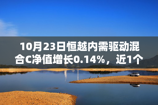 10月23日恒越内需驱动混合C净值增长0.14%，近1个月累计上涨16.93%