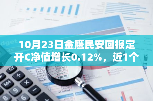 10月23日金鹰民安回报定开C净值增长0.12%，近1个月累计上涨15.14%