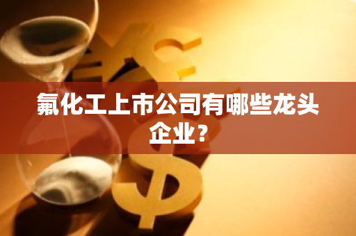 氟化工上市公司有哪些龙头企业？